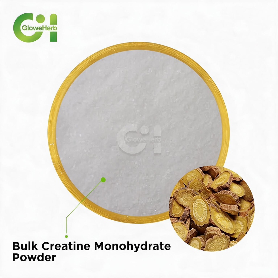 Bulk Creatine Monohydrate Powder